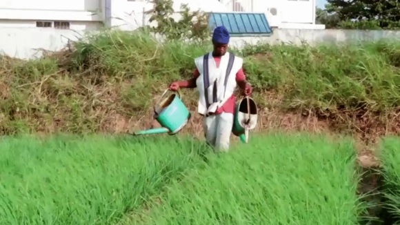 Photo du film Plant This Movie