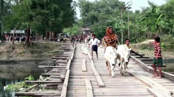 Photo du film Plant This Movie