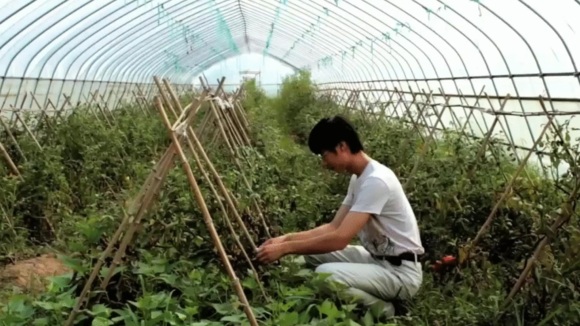 Photo du film Plant This Movie