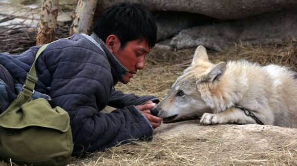 Photo from the movie Wolf Totem [2014]