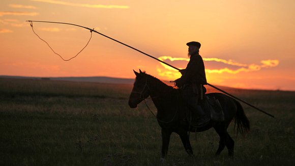 Photo from the movie Wolf Totem [2014]