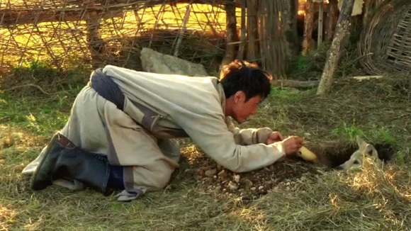 Photo from the movie Wolf Totem [2014]