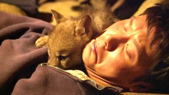 Photo from the movie Wolf Totem [2014]