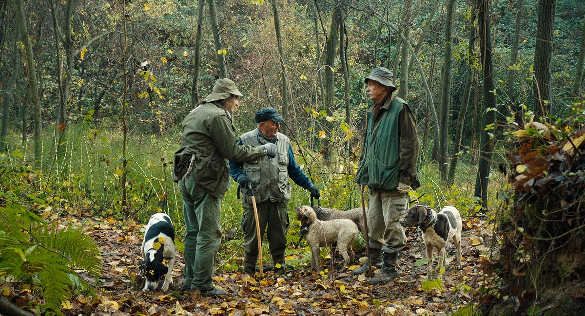 Photo du film Les chasseurs de truffes [2020]