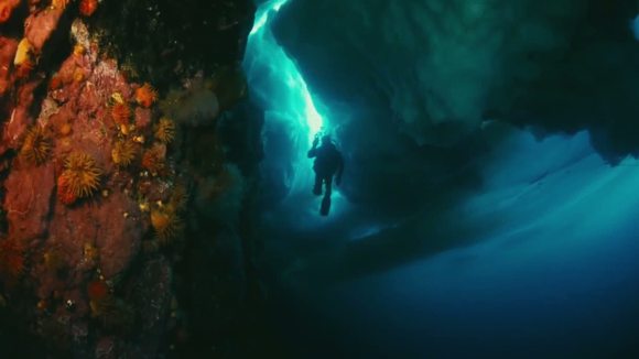 Photo from the movie Les merveilles de l'Arctique