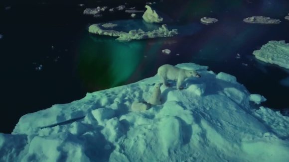 Photo from the movie Les merveilles de l'Arctique