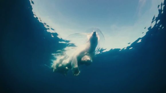 Photo from the movie Les merveilles de l'Arctique