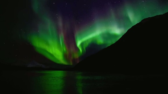 Photo from the movie Les merveilles de l'Arctique