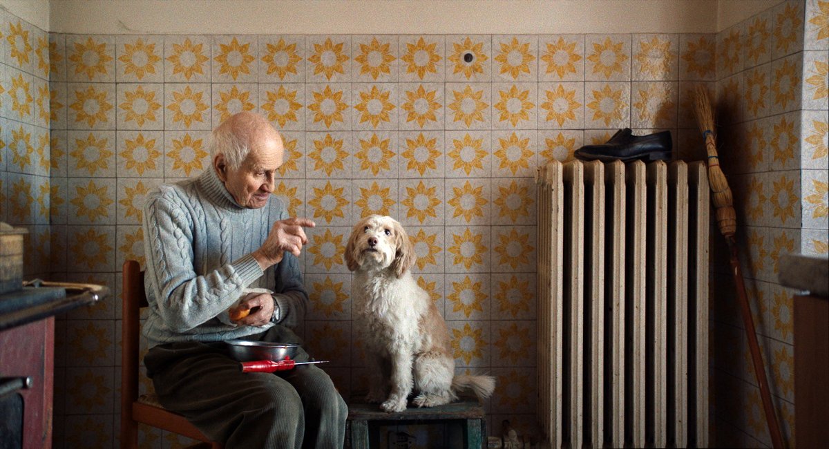 Photo du film Les chasseurs de truffes [2020]