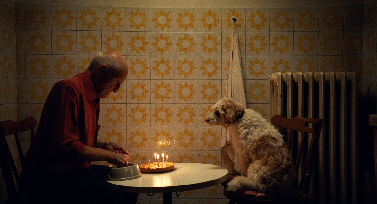 Photo du film Les chasseurs de truffes [2020]