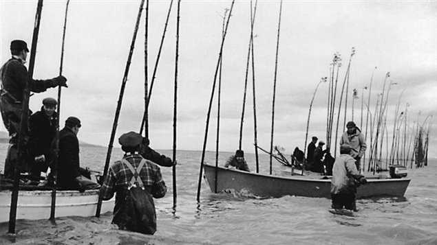 Photo du film Pour la suite du monde [1963]