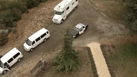 Photo du film The Dog Lover