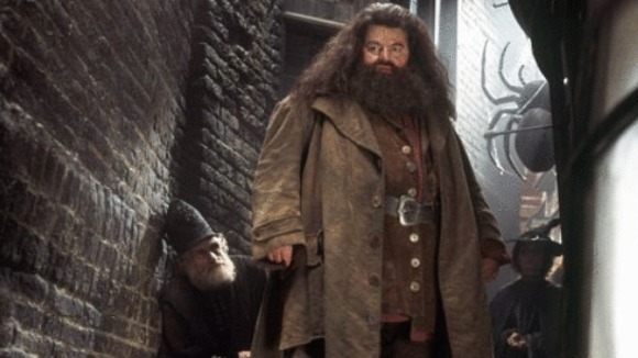 Photo from the movie Harry Potter 2