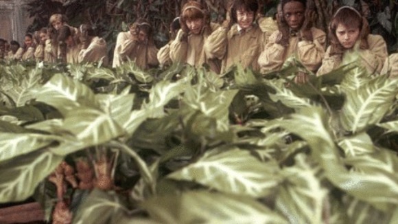 Photo from the movie Harry Potter 2