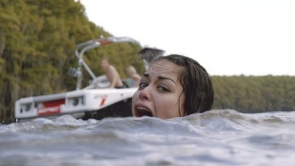 Photo du film Requins