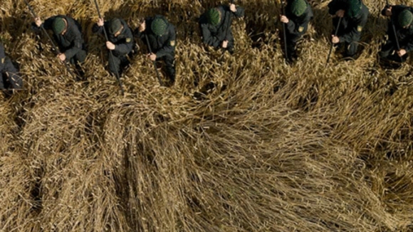 Photo du film The Silence