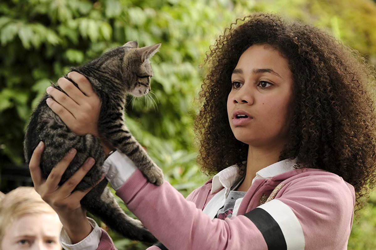 Photo du film Upside-Down Magic