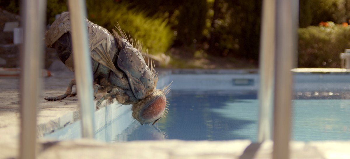 Photo du film Mandibules [2020]