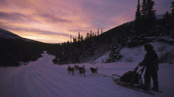 The Last Trapper 2004 By Nicolas Vanier