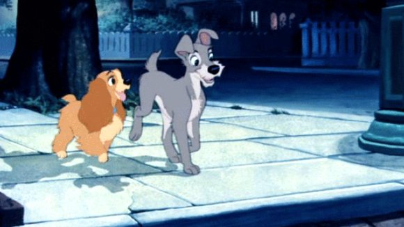 Photo du film Lady and the Tramp