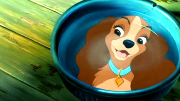Photo du film Lady and the Tramp