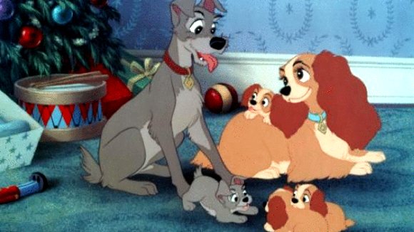 Photo du film Lady and the Tramp