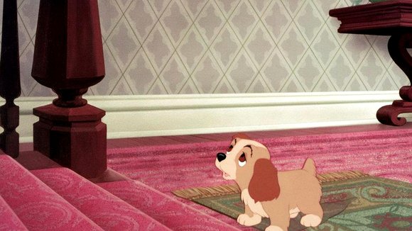 Photo du film Lady and the Tramp