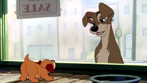 Photo du film Lady and the Tramp