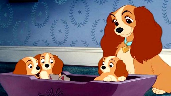 Photo du film Lady and the Tramp