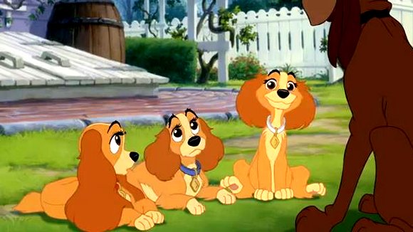 Photo du film Lady and the Tramp