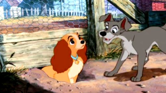 Photo du film Lady and the Tramp