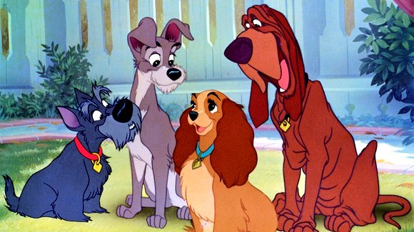 Photo du film Lady and the Tramp