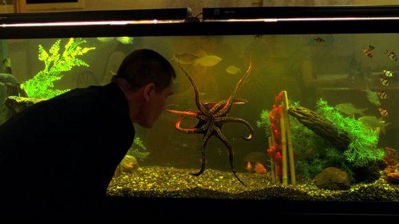 Photo du film Oldboy