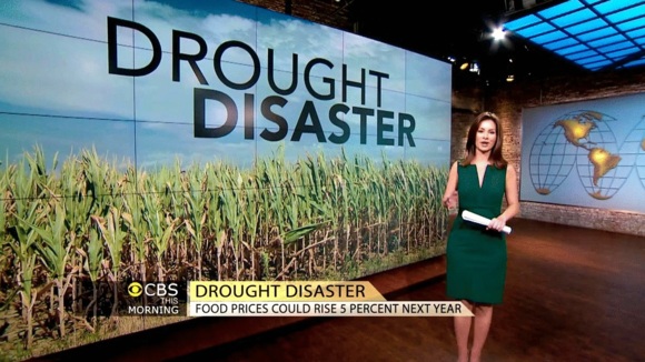 Photo from the movie Seeds of Time