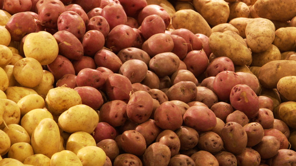 Photo from the movie Seeds of Time