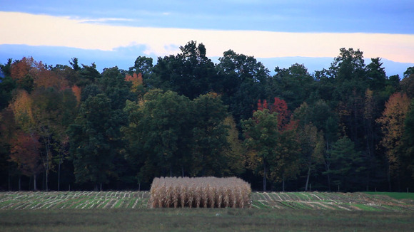 Photo from the movie Seeds of Time