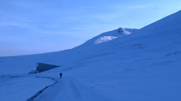 Photo from the movie Seeds of Time