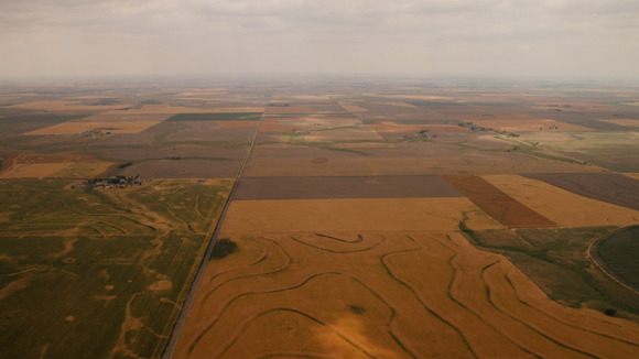 Photo from the movie Seeds of Time