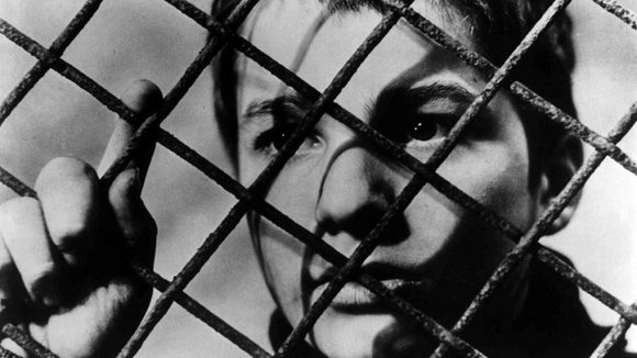 Photo du film The 400 Blows