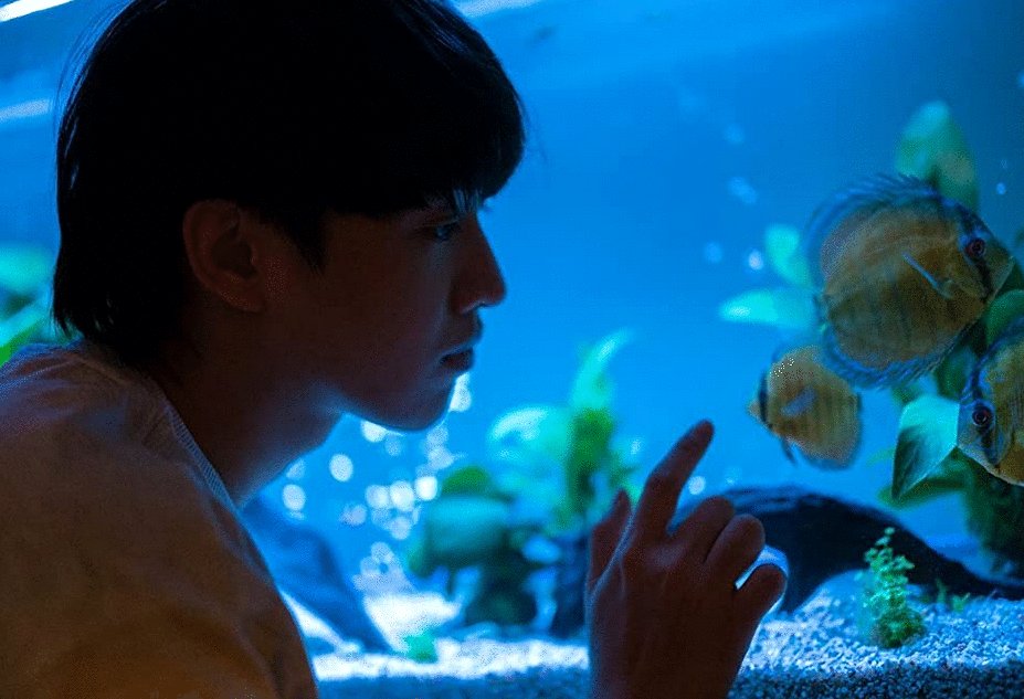 Photo du film Mama's Affair [2022]