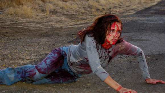 Photo du film Babysitter Wanted [2008]