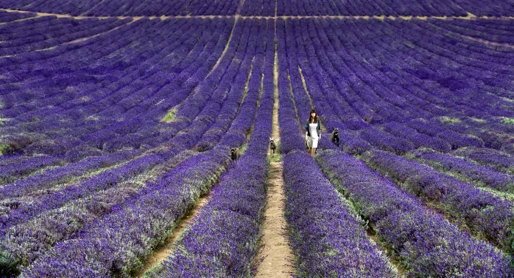 Photo from the movie Safe Inside