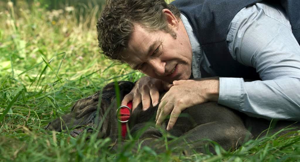 Photo from the movie Safe Inside