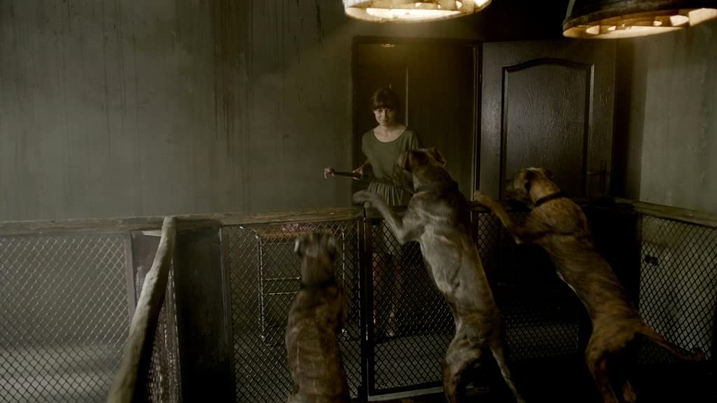 Photo from the movie Safe Inside