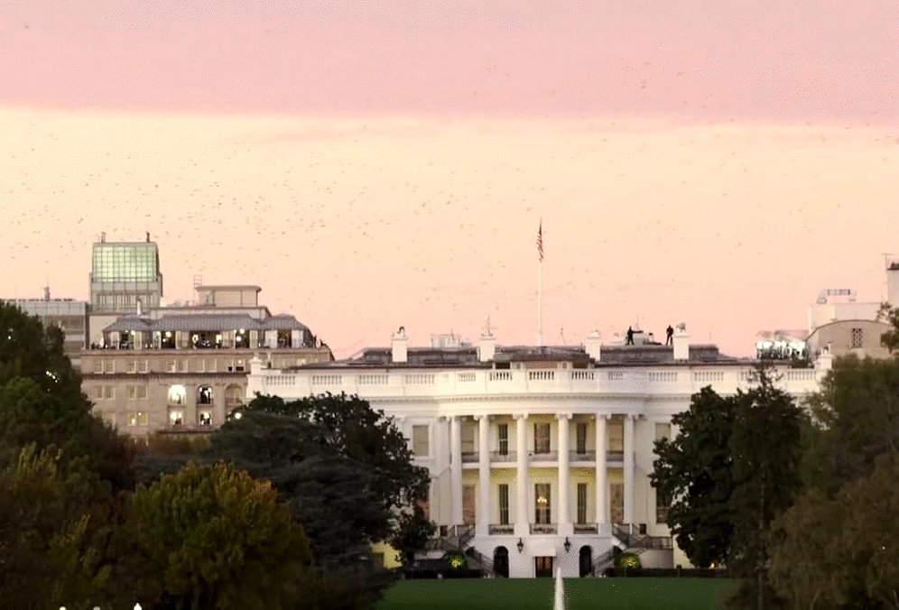 Photo from the movie Troll Storm [2024]