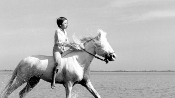 Photo du film White Mane