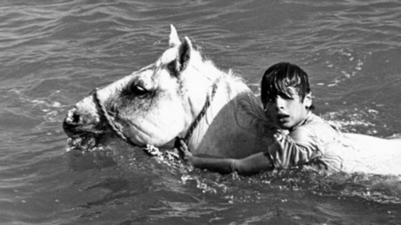 Photo du film White Mane