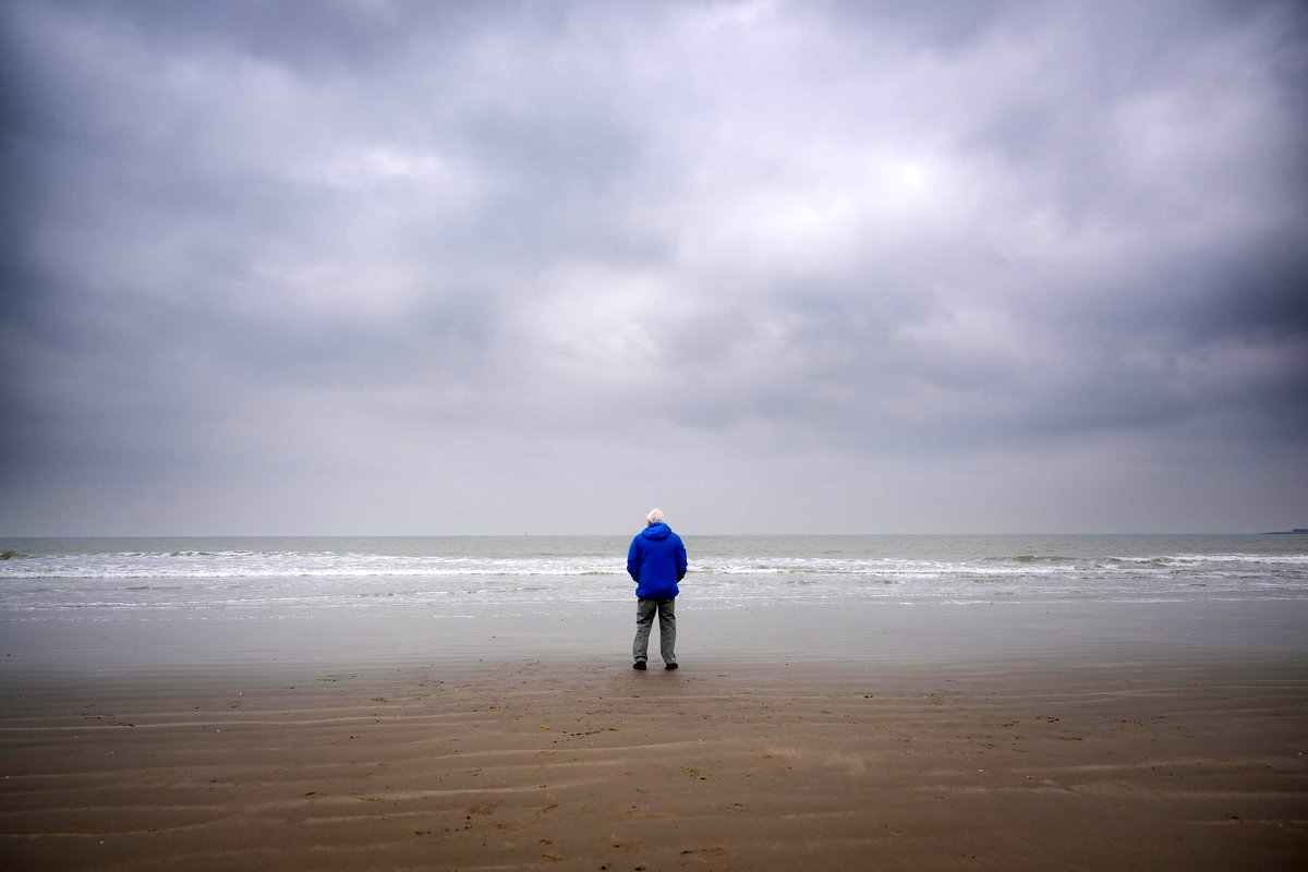 Photo du film David Attenborough: Ocean