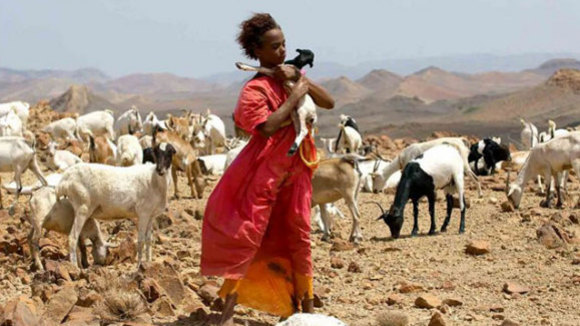 Photo du film Desert Flower