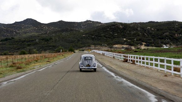 Photo from the movie The Bug [2016]